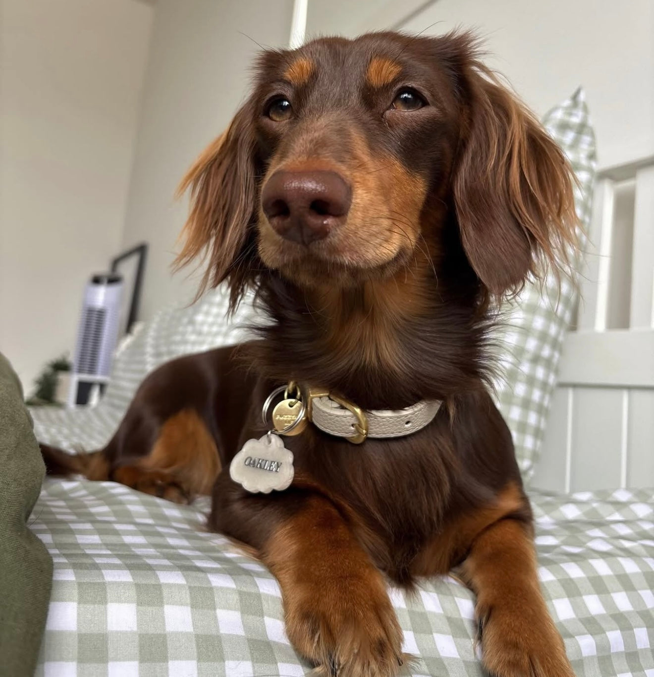 Cloudy with a chance of glitter