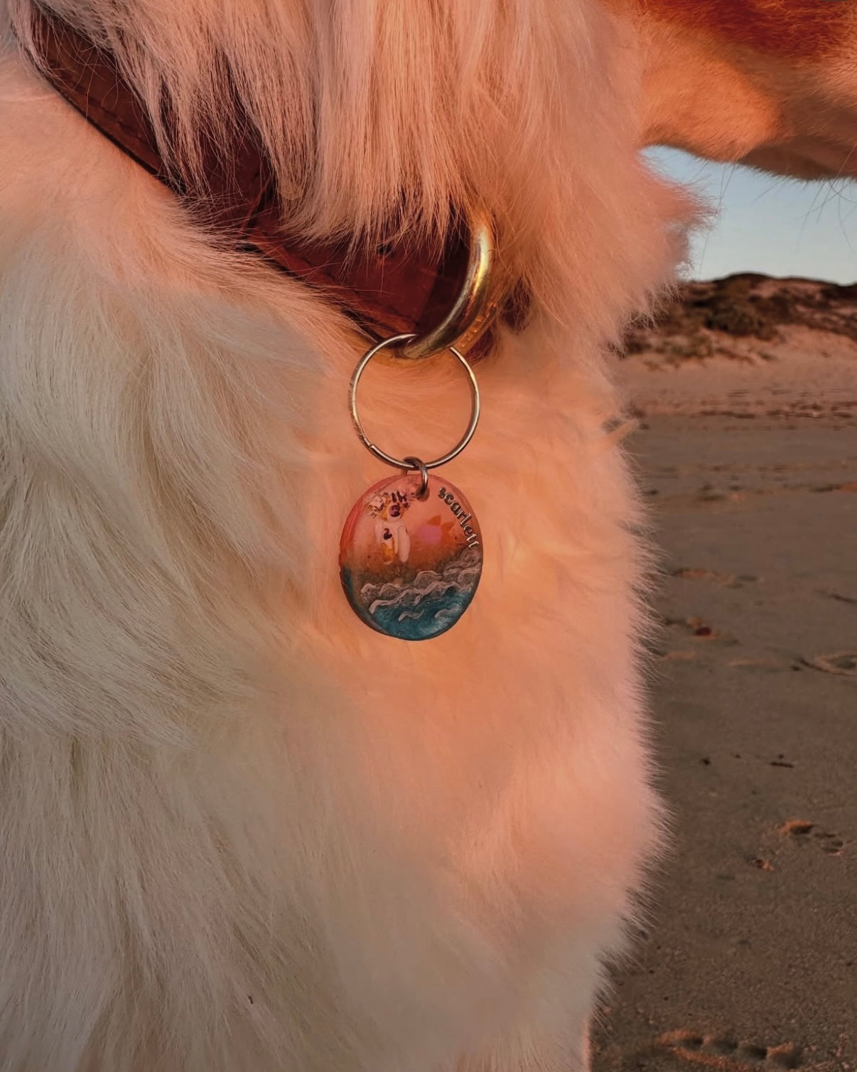 FT YOUR OWN DOG, Beach day